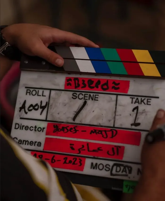 B3EED film poster